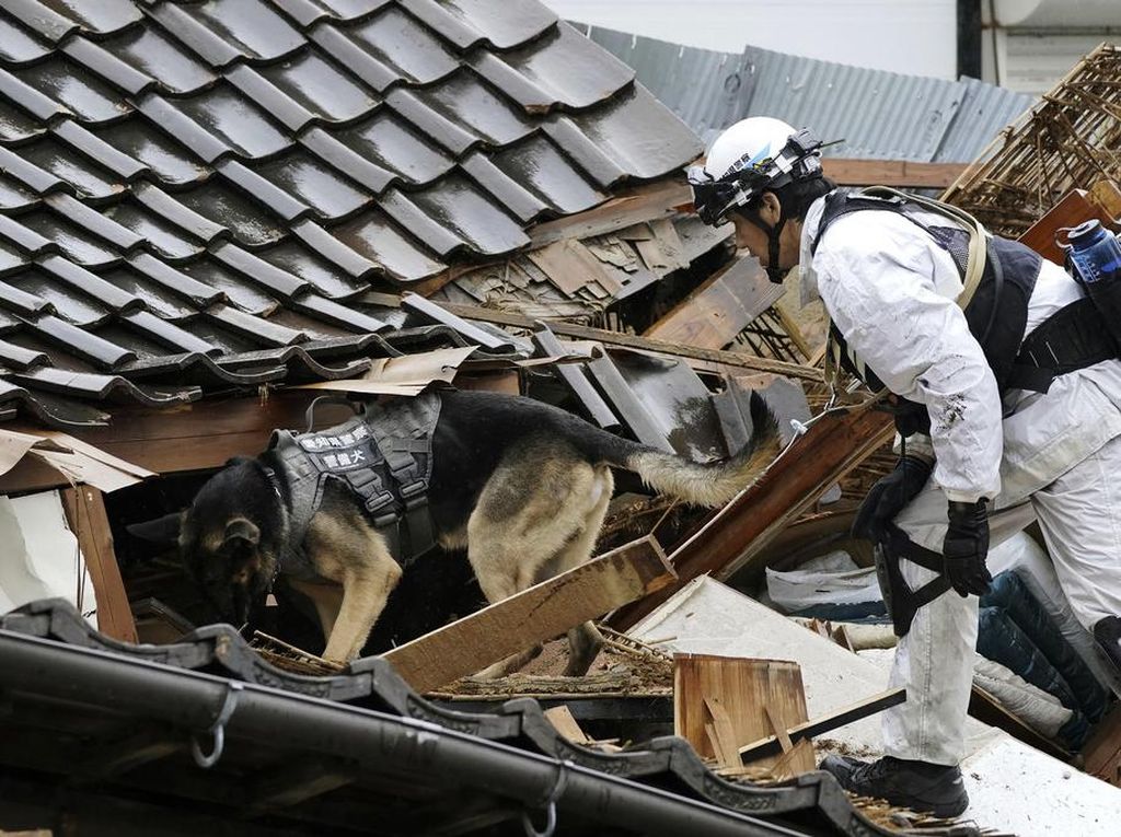 Anjing Pelacak Dikerahkan Cari Korban Gempa di Jepang